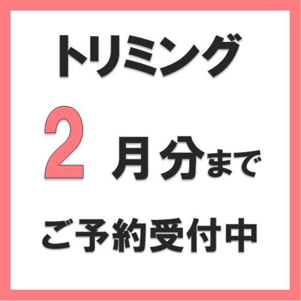 トリミングのご予約受付