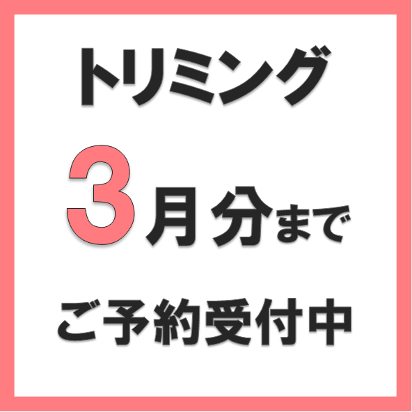 トリミングのご予約受付