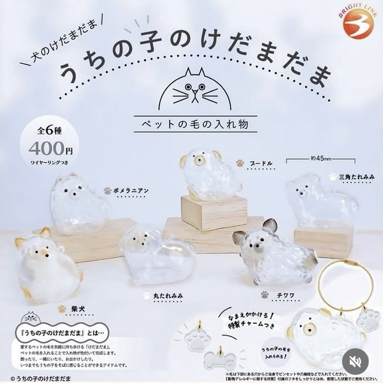 【大人気】けだまだま入荷してます！